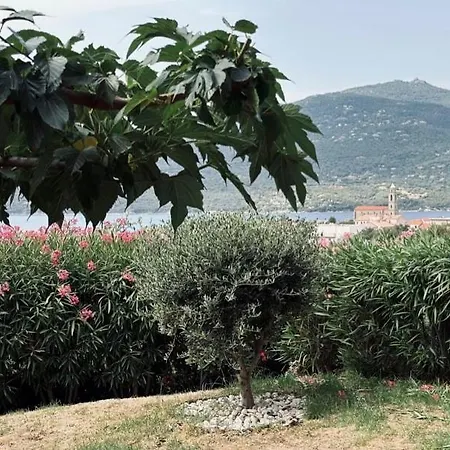 Apartment 3 Avec Jardin, Vue Mer, Piscine Et Tennis *